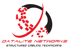 Datalite Network Official logo